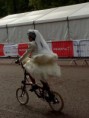 /album/brompton/img-20150801-180723-jpg/